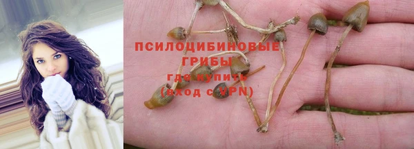 прущая мука Касимов