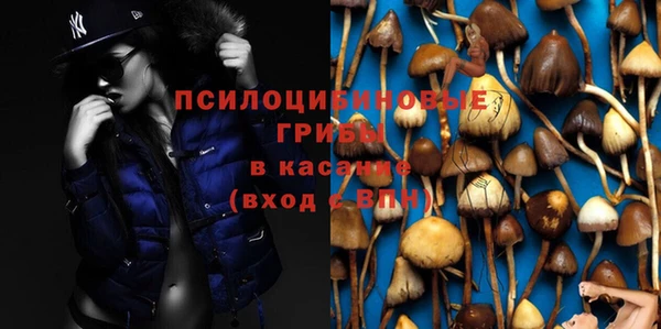 прущая мука Касимов