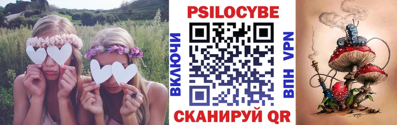 Купить закладки  Выборг  Псилоцибиновые грибы прущие грибы 