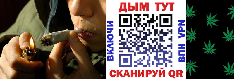 Конопля сатива  Купить  Выборг 